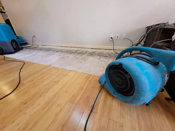 Professional Water Damage Repair technician working in Manawa, WI